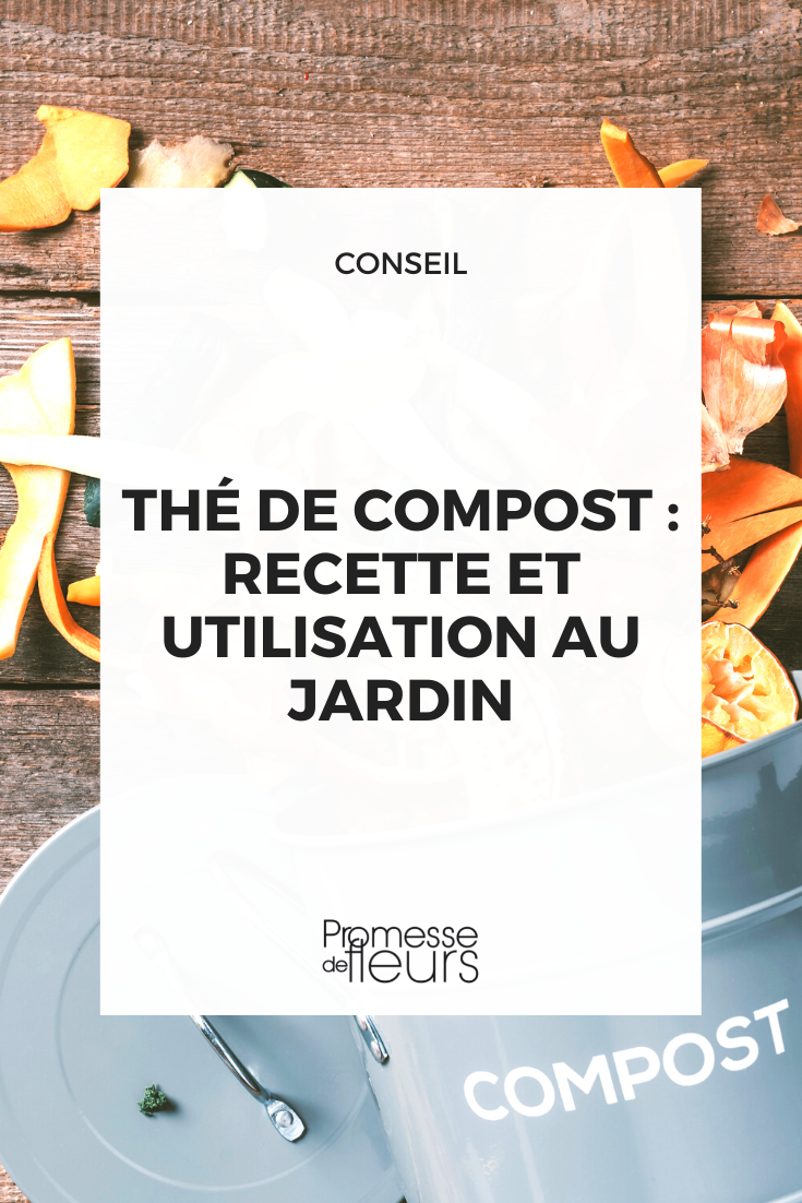 Faire du thé de compost