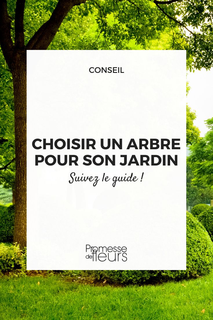 choisir un arbre pour son jardin