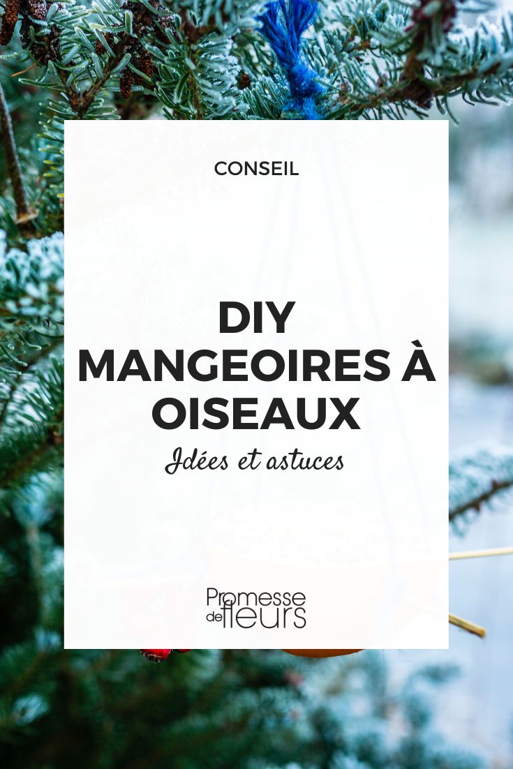 diy mangeoires a oiseaux