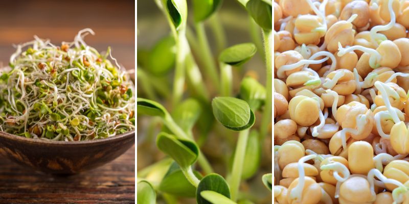 chickpeas