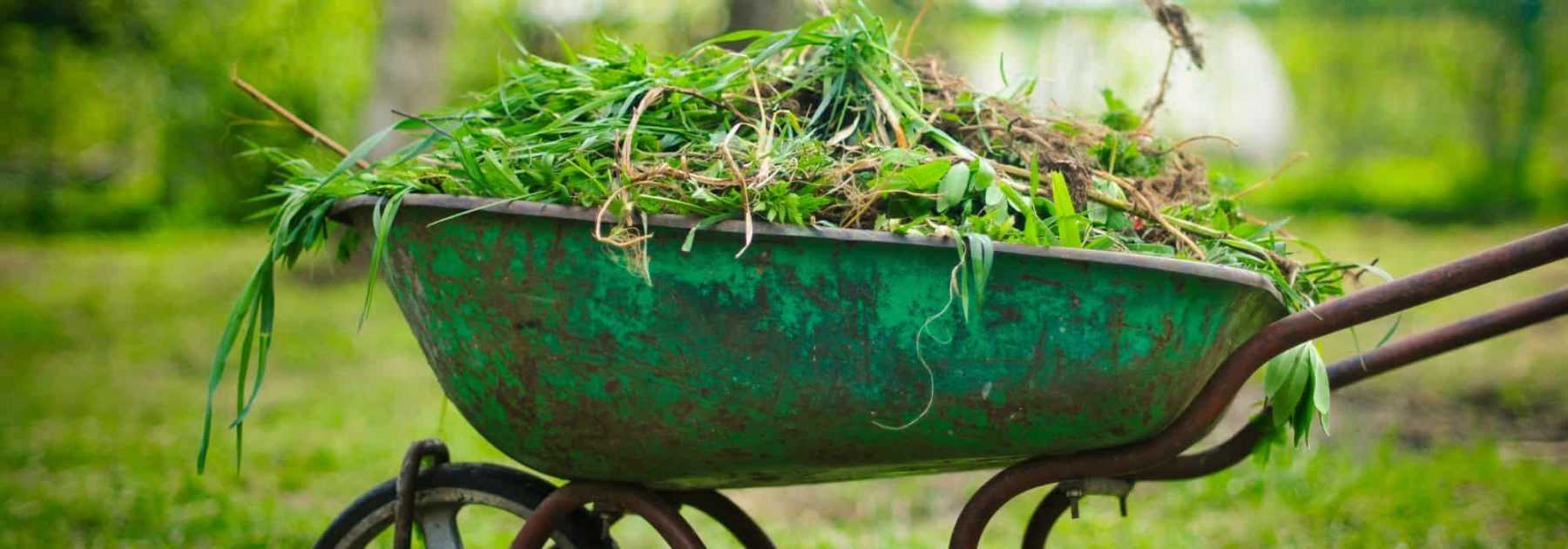 Zéro déchet : Que faire de la taille des vivaces et des fleurs coupées ?