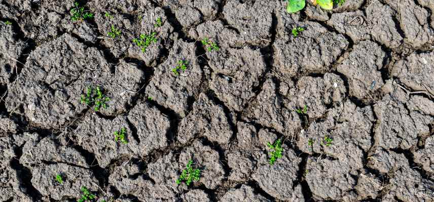 erosion des sols definition, erosion des sols lutte, erosion sol que faire, erosion sol agir