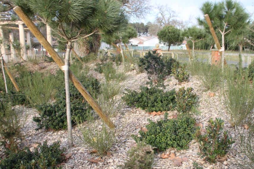 Déplacez facilement vos bûches et branches mortes avec ce chariot de jardin  à moins de 100 euros