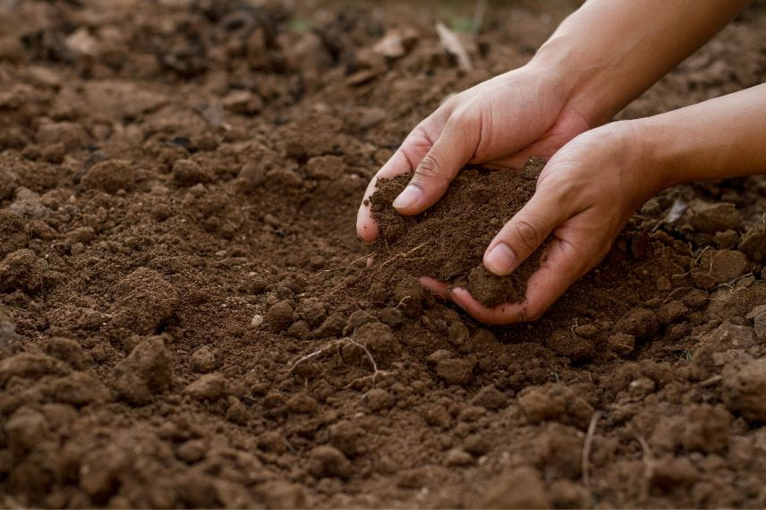 potager erreurs