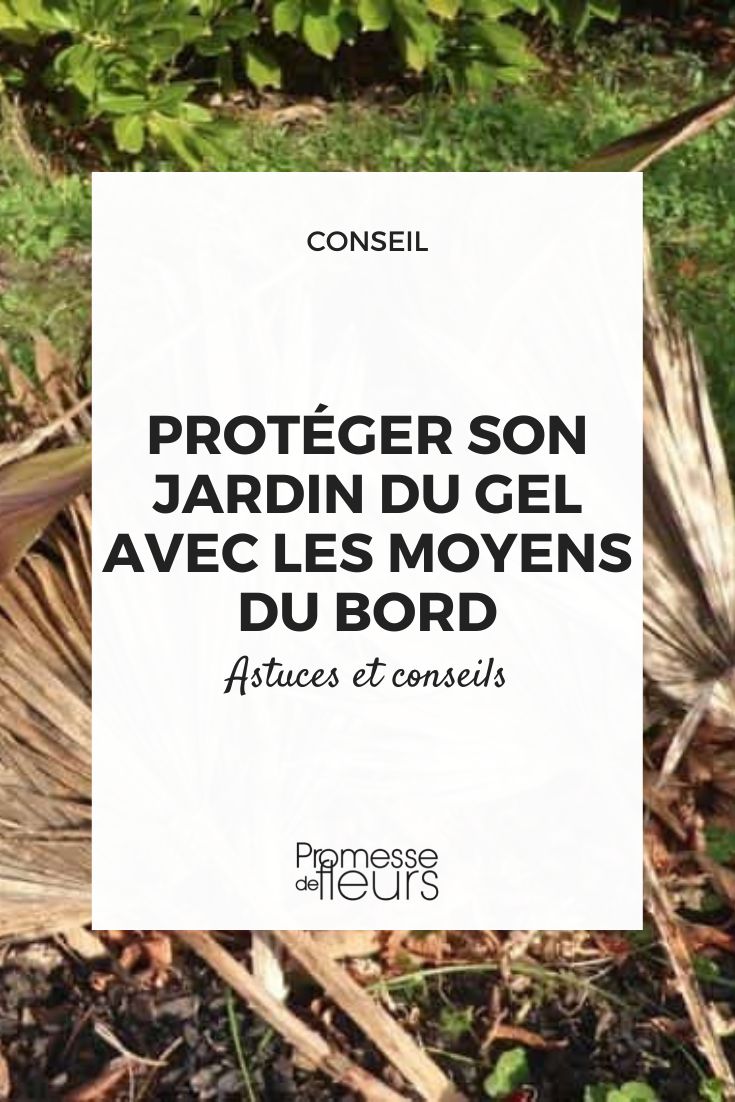 2 Pièces Couverture Végétale Protection Contre Le Gel - Temu France