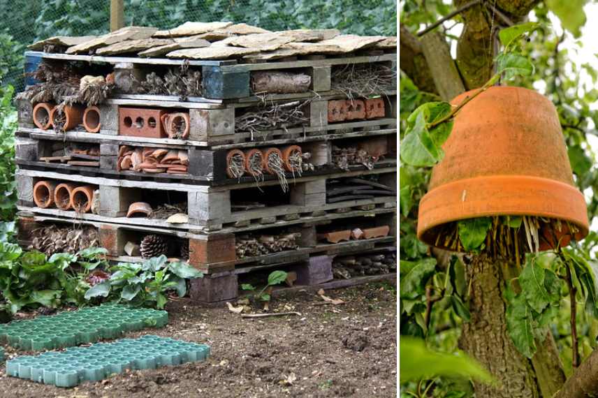 Les soucoupes placées sous les pots de fleurs constituent des petites