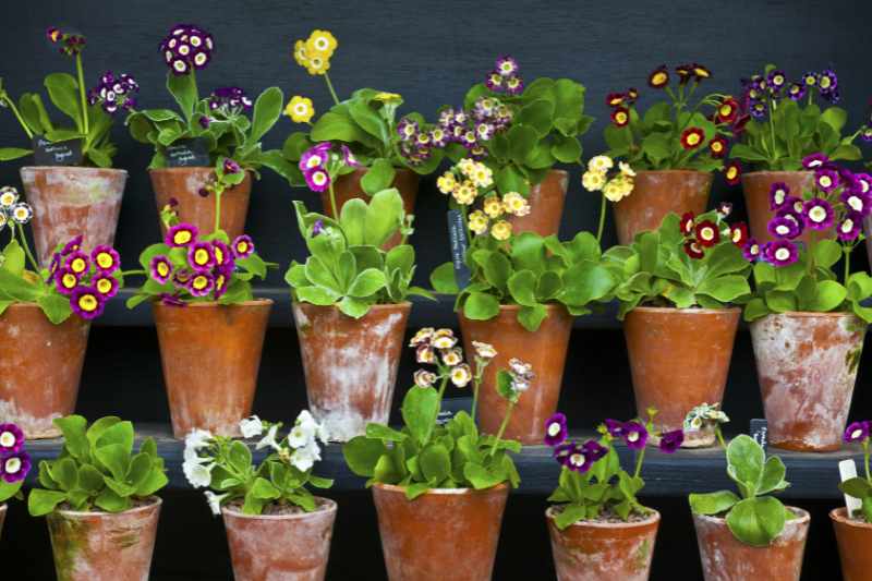 recycler pots jardin, détourner pots au jardin, idées déco pots jardin, pots cassés jardin