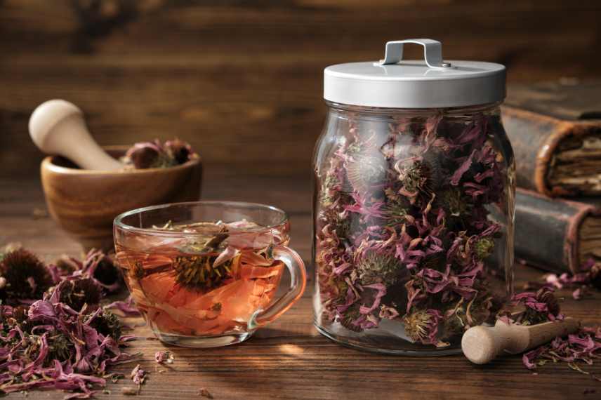 tisane anti fatigue hiver, tisane herbes du jardin, tisane hivernale