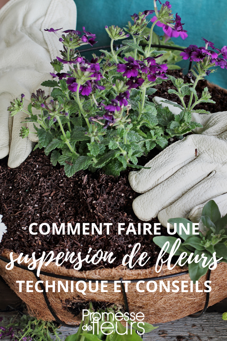 Planter des fleurs dans une suspension