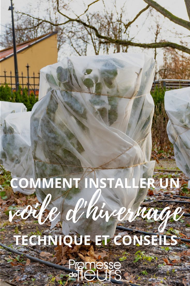 Voile d'hivernage pour plantes - Jardindeco