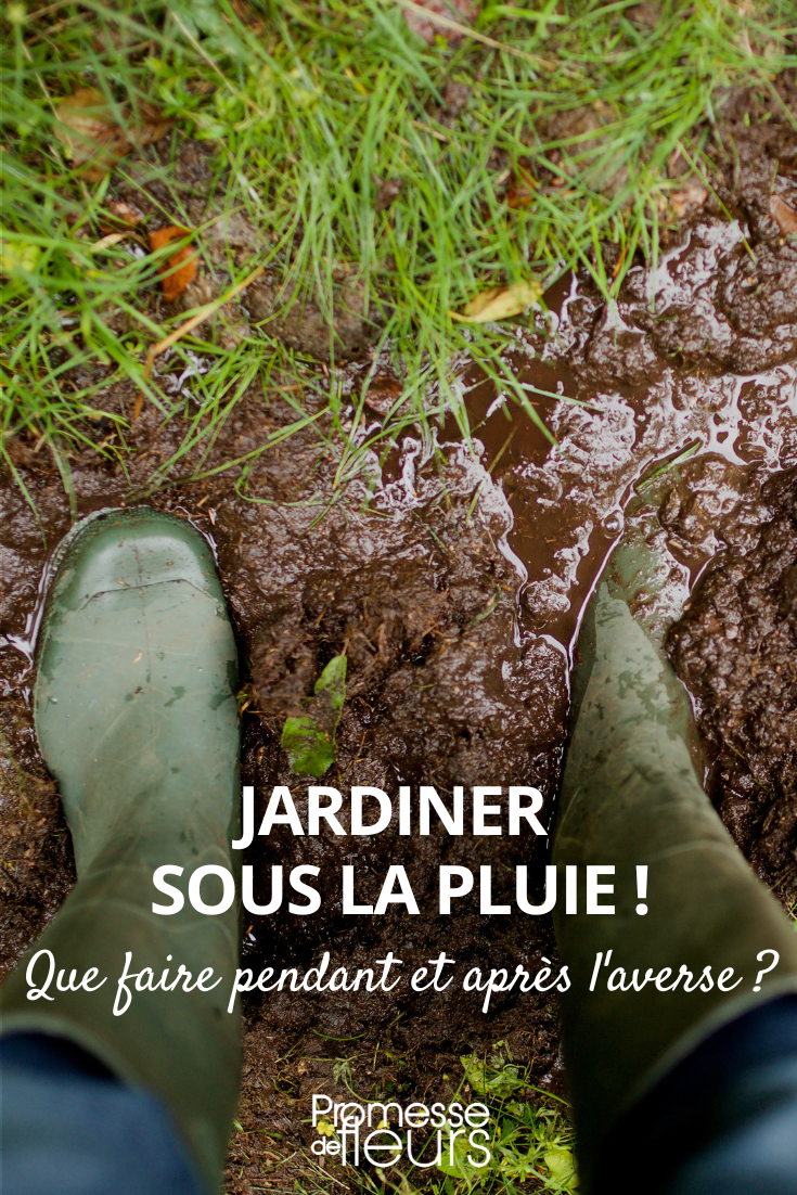 Jardiner sous la pluie - Promesse de Fleurs