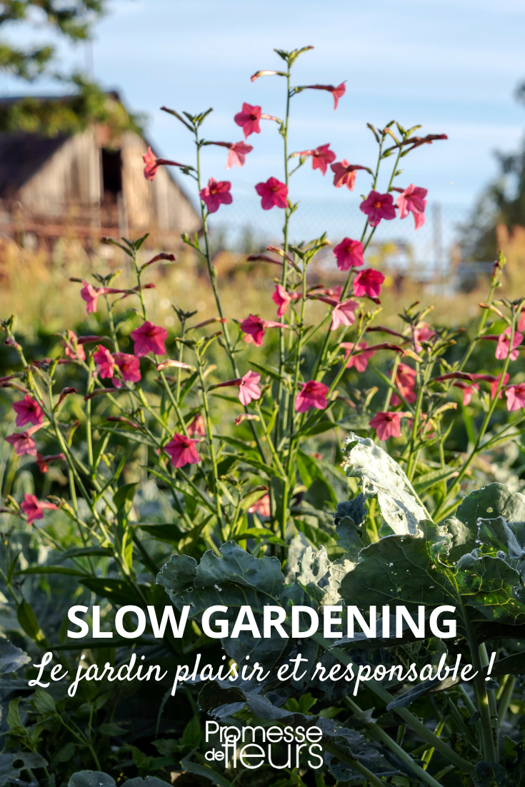 Slow gardening jardin nature
