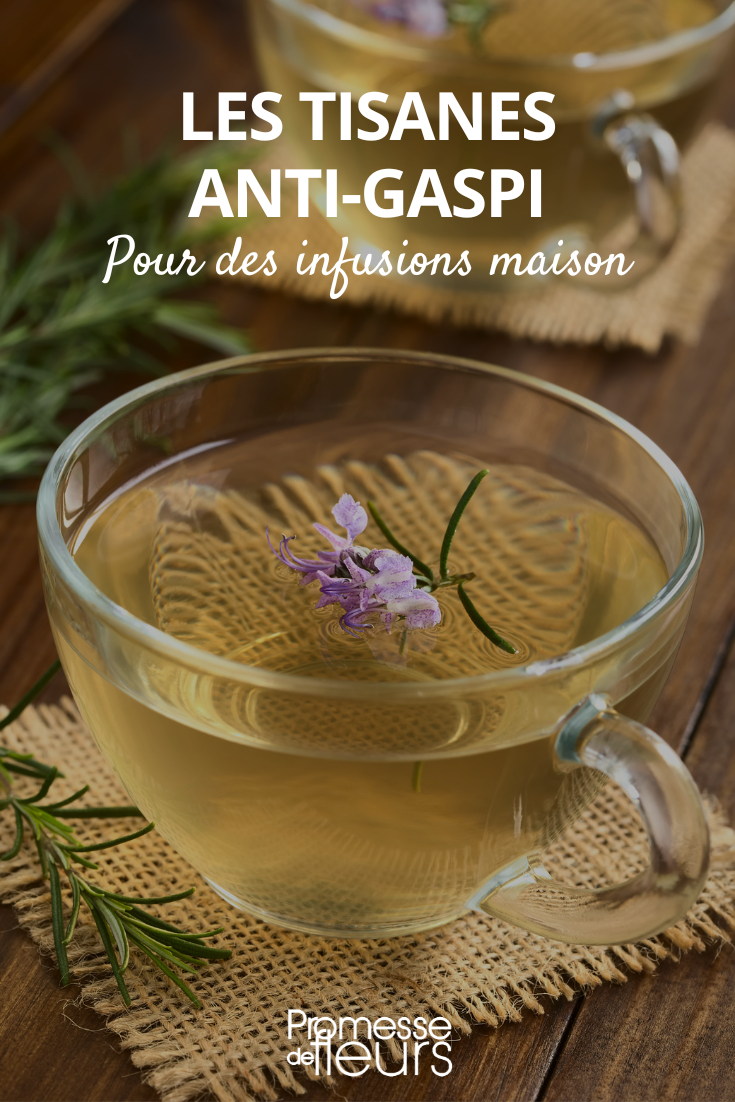 Tisane anti-gaspi - Promesse de Fleurs