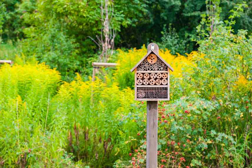 slow gardening, slow gardening definition, slow gardening qu est ce que c est