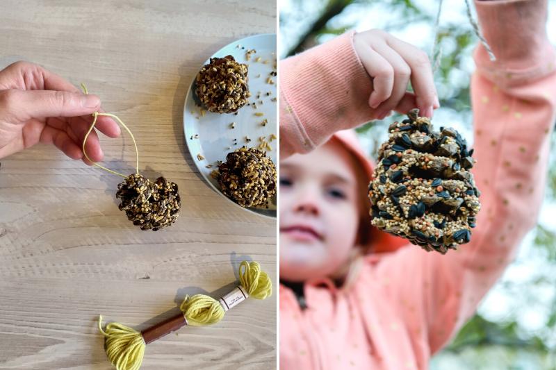 Fabriquer des boules de graines pour les oiseaux avec une pomme de pin