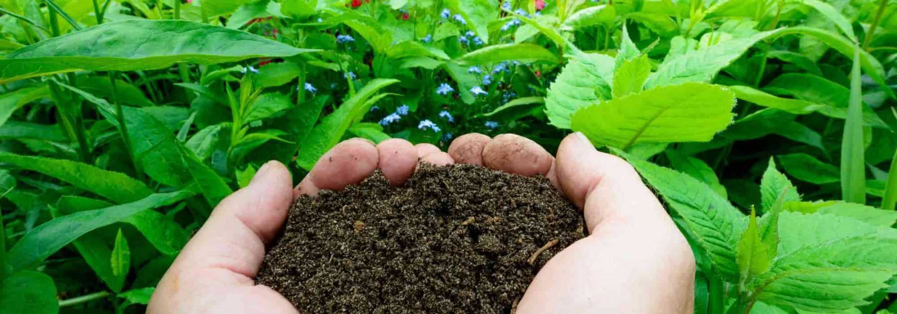 Faire un compost sur son balcon - Promesse de Fleurs