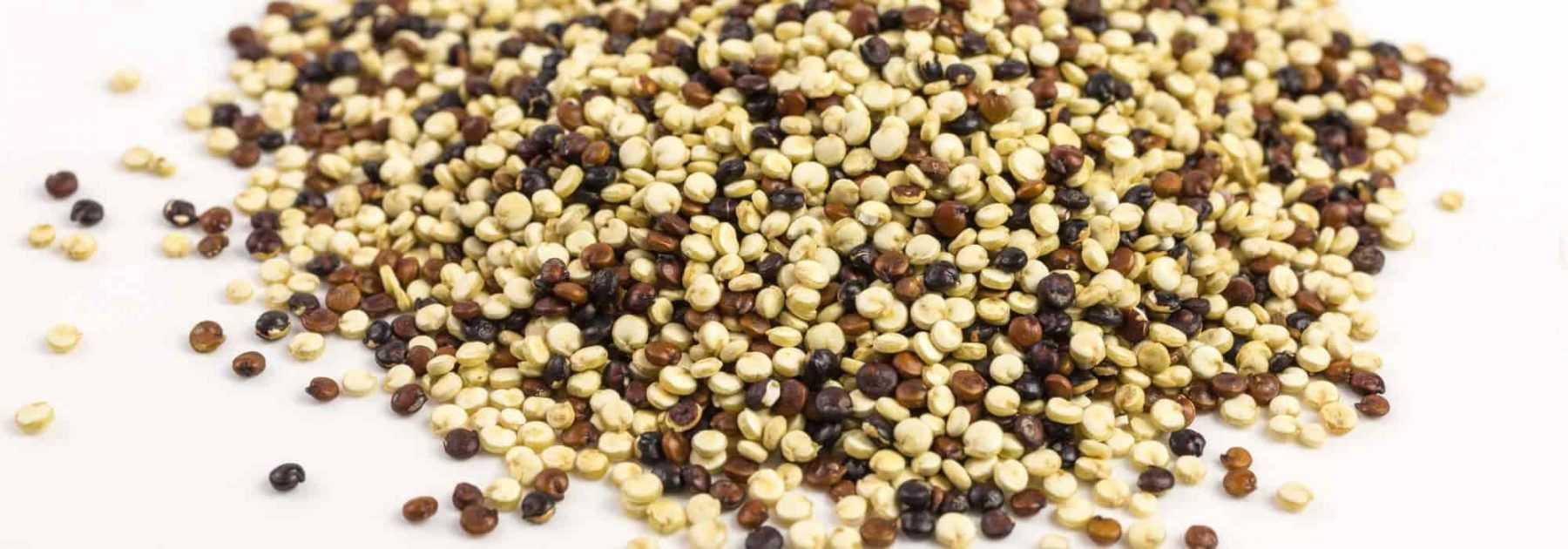 Cultiver du quinoa dans son potager - Promesse de Fleurs