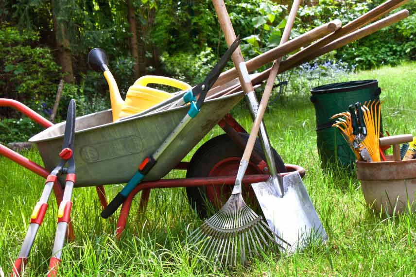 Que faire au jardin en février 