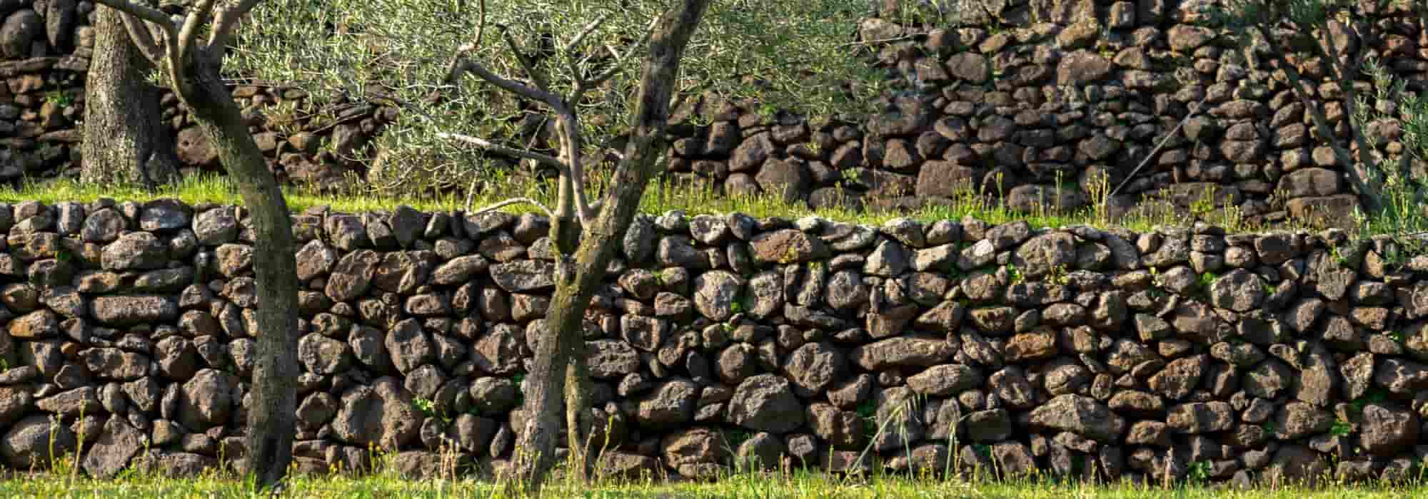 Comment habiller un mur de soutènement ?