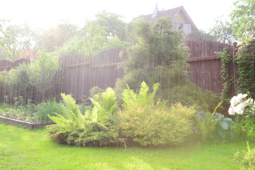 jardiner sous la pluie, que faire au jardin sous la pluie