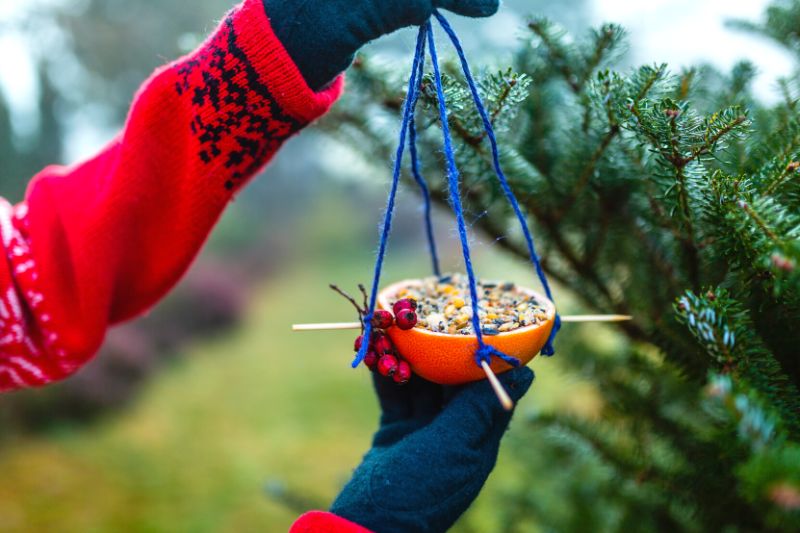 DIY mangeoire en orange pour les oiseaux du jardin - Tutoriel