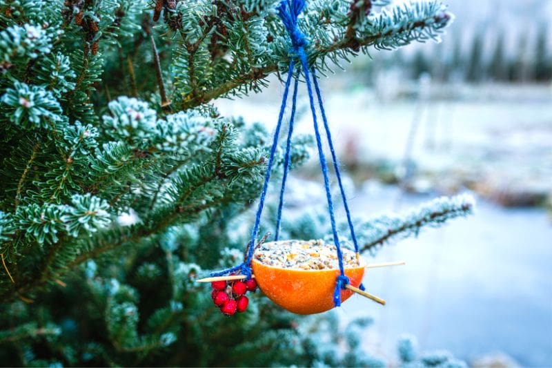 Support - mangeoire pour pot de beurre d'arachides pour oiseaux