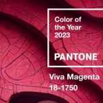 Tendance 2023 : le magenta au jardin