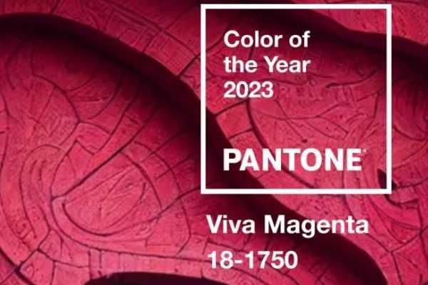 Tendance 2023 : le magenta au jardin