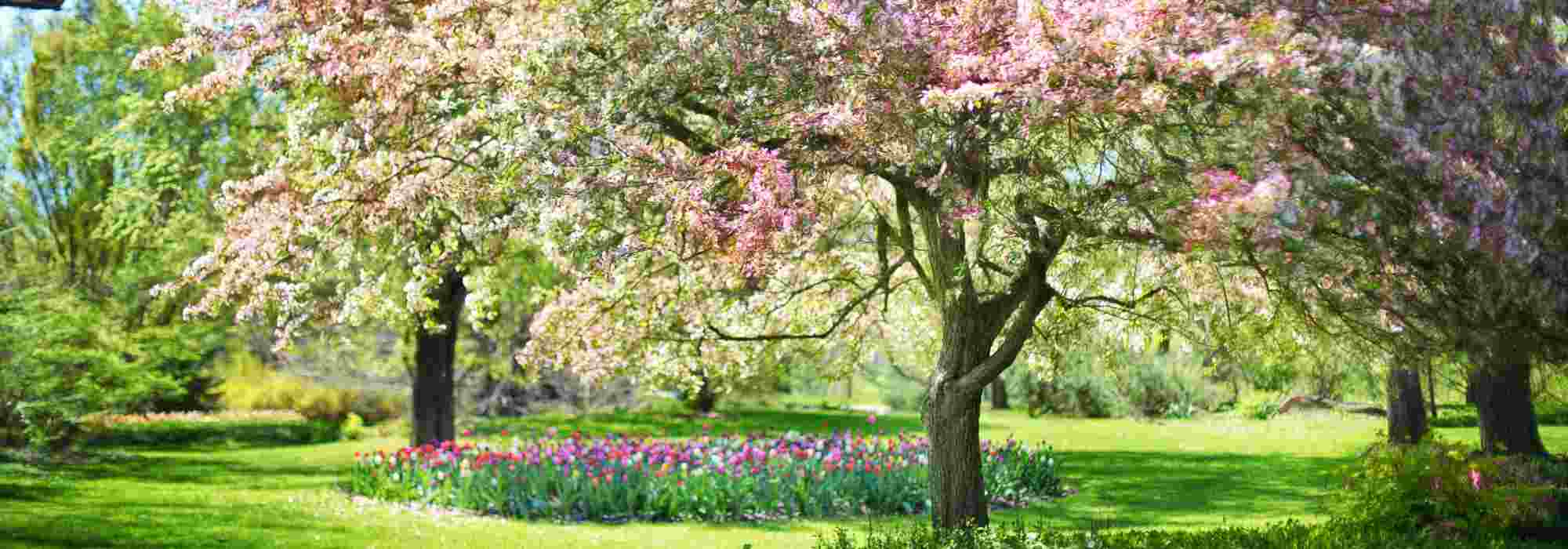 Que semer au printemps ?