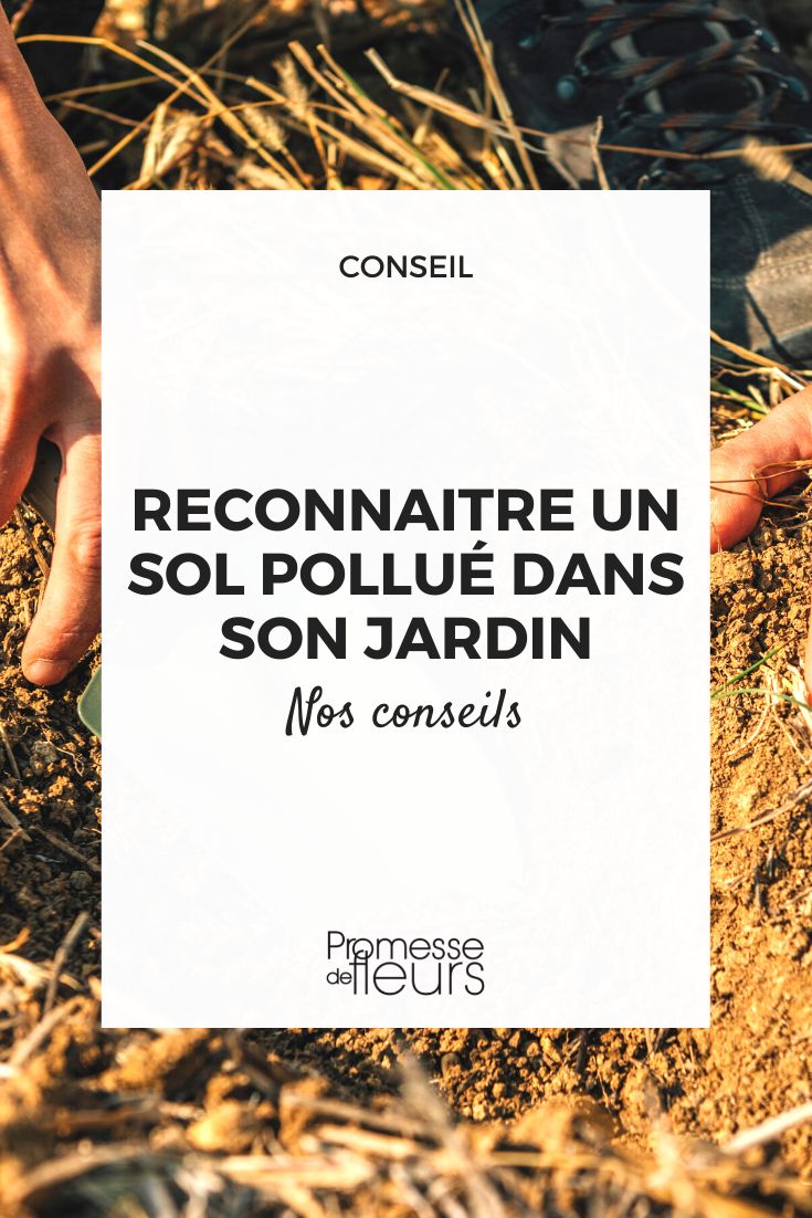 reconnaitre sol pollue dans son jardin