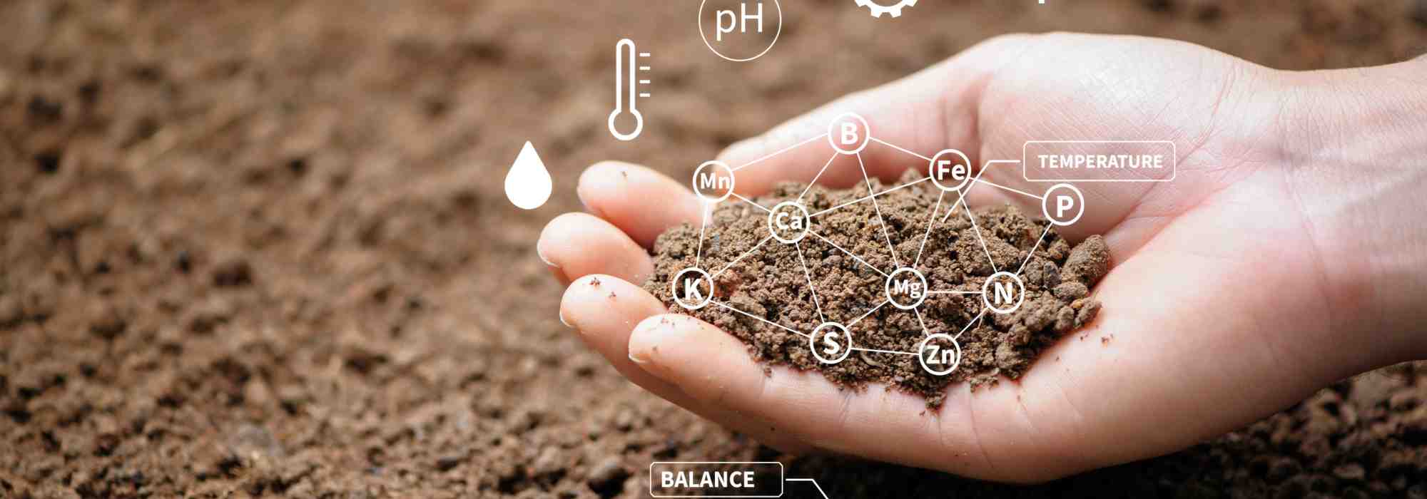 Comment reconnaitre un sol pollué dans son jardin ?