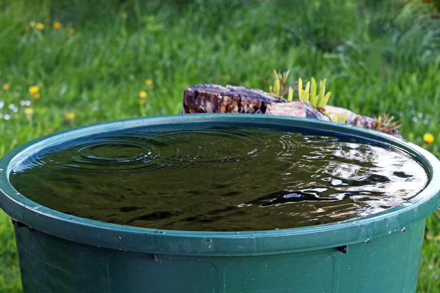 jardiner sous la pluie, que faire au jardin sous la pluie