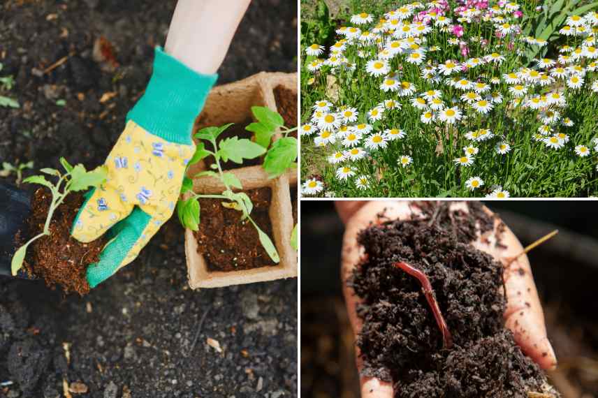 slow gardening, slow gardening definition, slow gardening qu est ce que c est