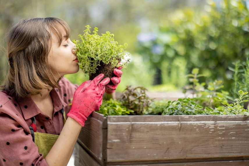 slow gardening, slow gardening definition, slow gardening qu est ce que c est