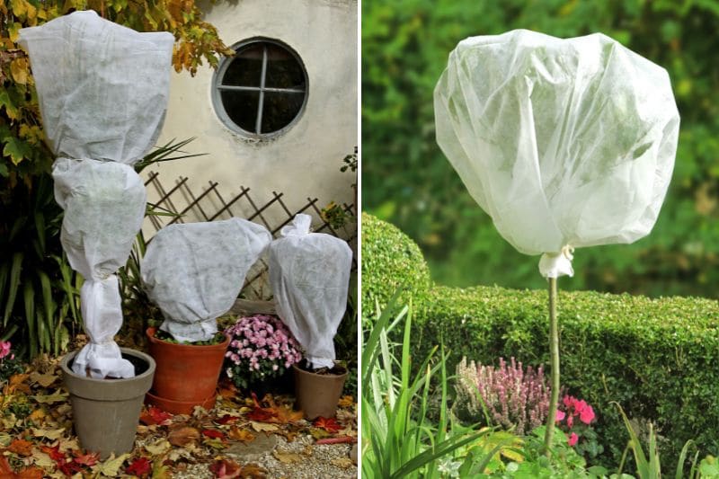 Le voile d'hivernage pour mon jardin