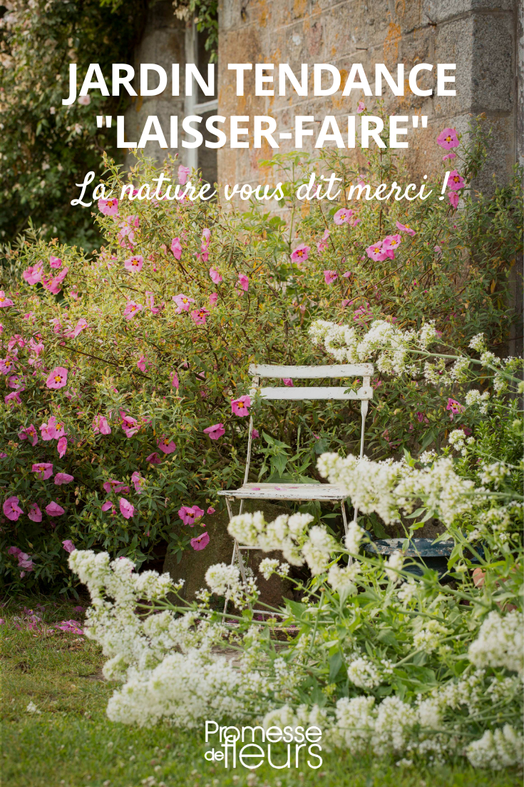 Aménager un jardin tendance laisser-faire - Promesse de Fleurs