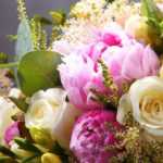 6 plantes pour des bouquets aux couleurs pastel