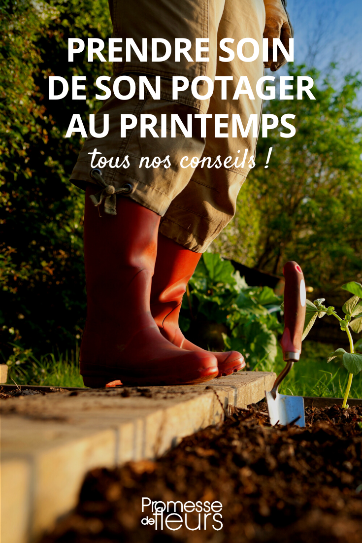 Jardinage potager printemps