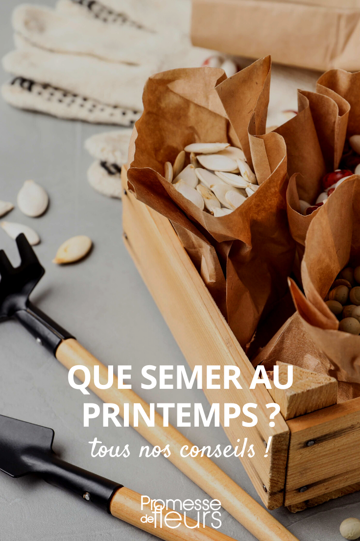 Semis de printemps