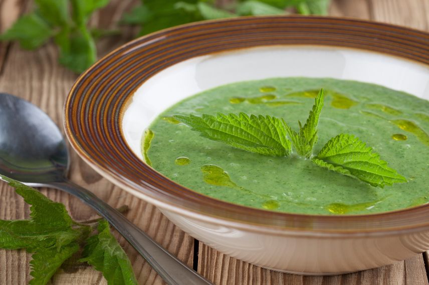 soupe plante