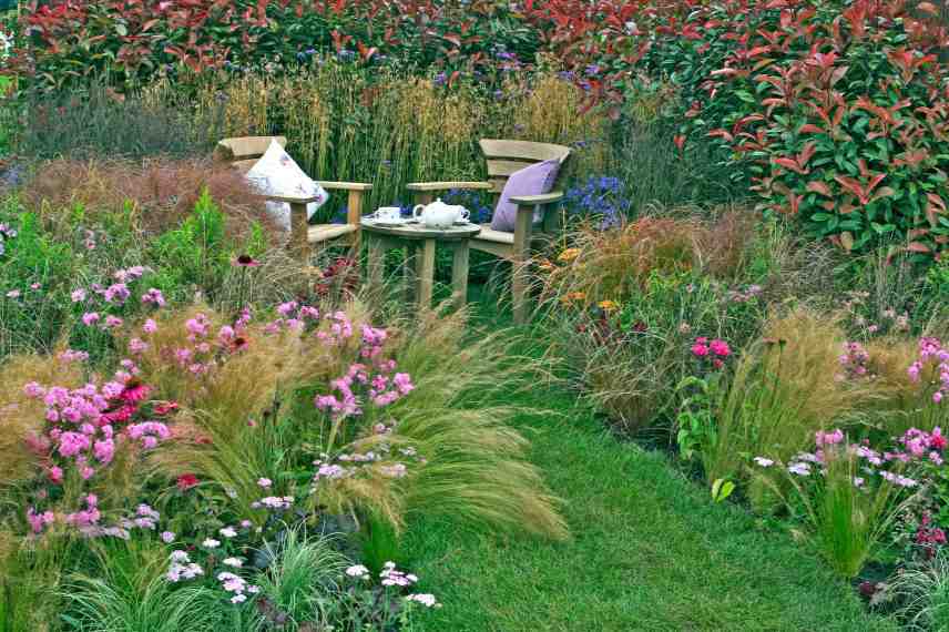 Jardin laisser faire, jardin sauvage, jardin naturel sans entretien, jardin laisser-faire, tendance jardin naturaliste