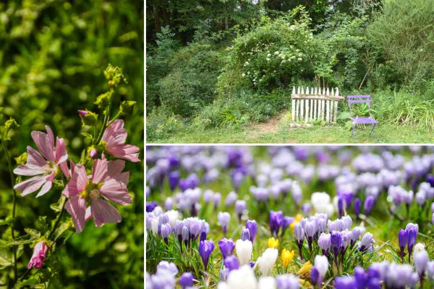 rewild jardin, reensauvager jardin, renaturation, jardin sauvage quelles plantes, jardin sauvage, jardin naturel composer amenager