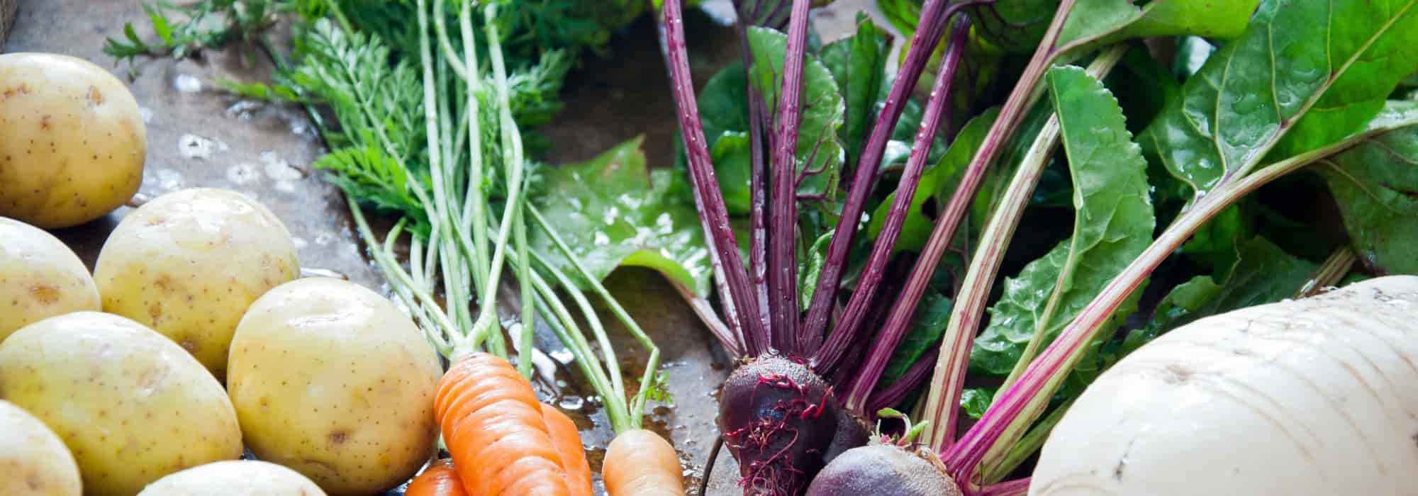 Les légumes racines colorés