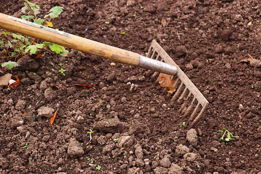 potager printemps