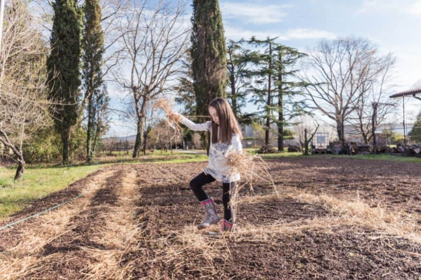 potager printemps