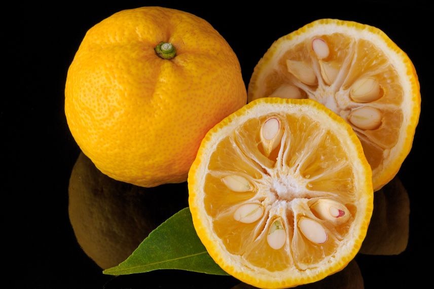 Fruits de Yuzu