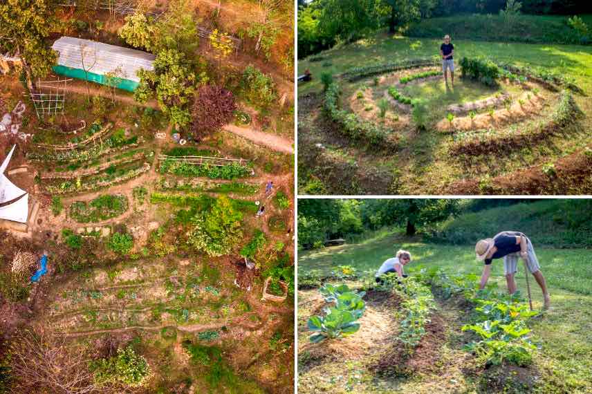 Jardin permaculture 