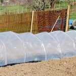 Comment installer un tunnel de forçage au potager ?