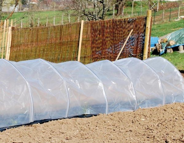 Comment installer un tunnel de forçage au potager ?