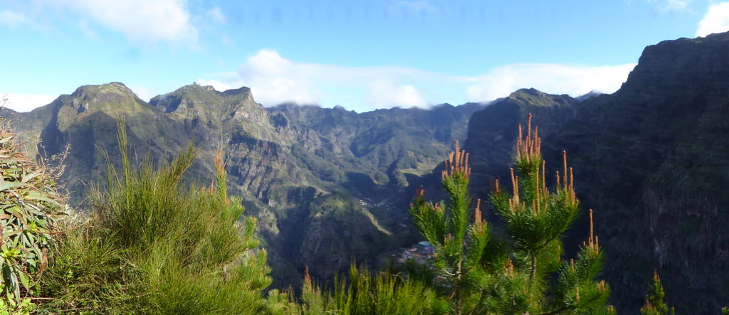 Madere visite, Madere ile aux fleurs, Madere plantes endemiques, Madere vegetation, Madere quels jardins